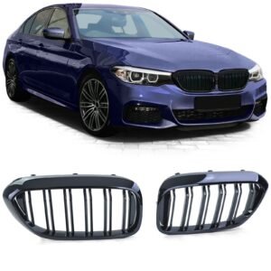 Grelhas Duplas BMW G30/G31 (17-20)